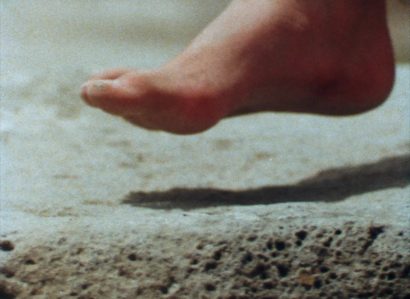 于连，先知的肖像 + 格拉迪瓦素描第一部