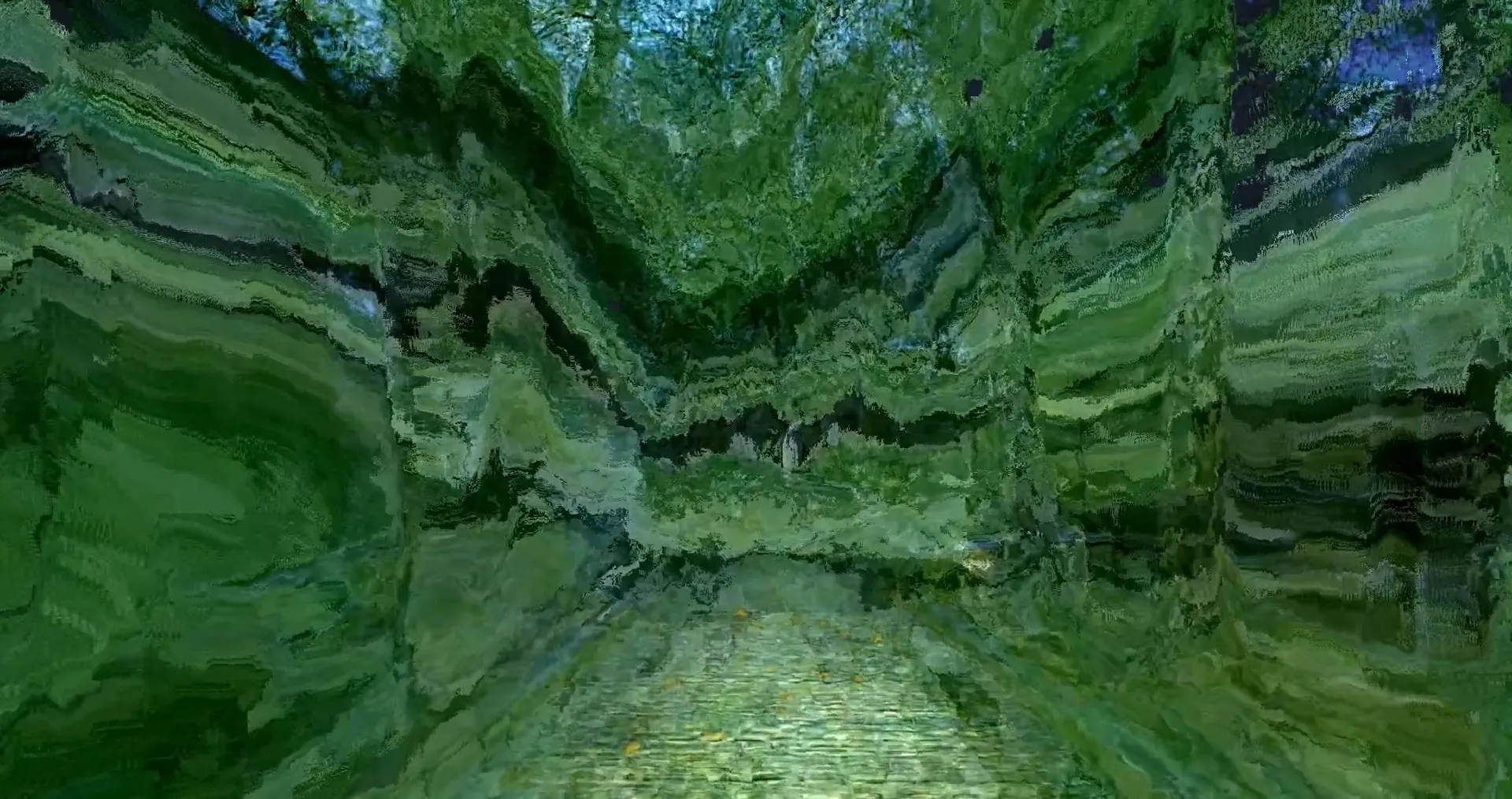 12月回顾｜小蜘蛛的梦